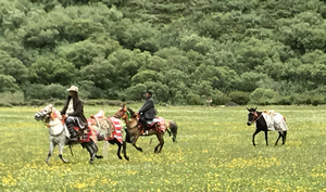 Beautiful China Summer Trip – Sichuan, Yunnan, Guizhou and Hunan