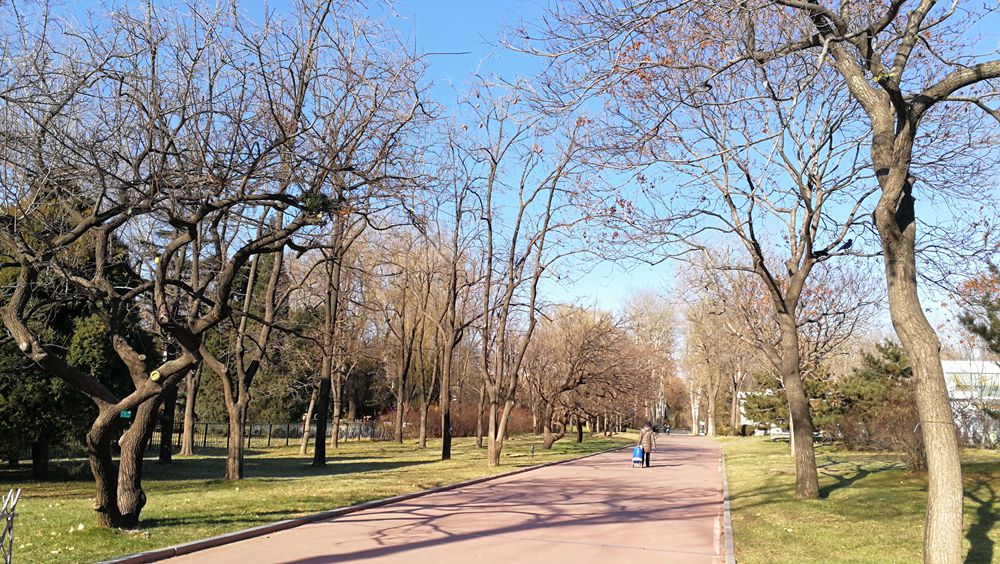 Beautiful Beijing Winter