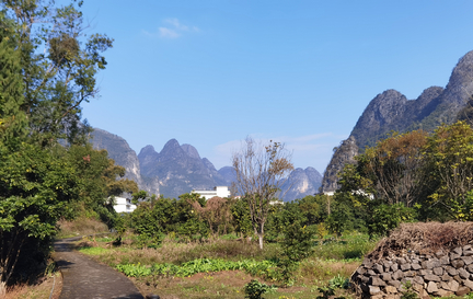 Beautiful Winter in Yangshuo