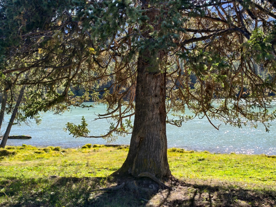 Our Visit to Kanas Scenic Area, Xinjiang